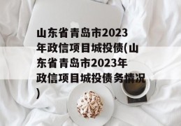 山东省青岛市2023年政信项目城投债(山东省青岛市2023年政信项目城投债务情况)