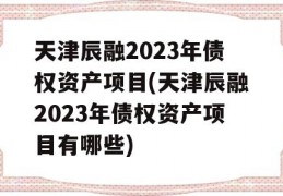 天津辰融2023年债权资产项目(天津辰融2023年债权资产项目有哪些)