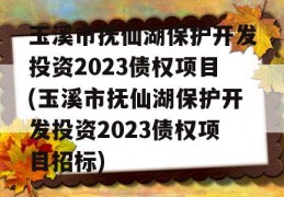 玉溪市抚仙湖保护开发投资2023债权项目(玉溪市抚仙湖保护开发投资2023债权项目招标)