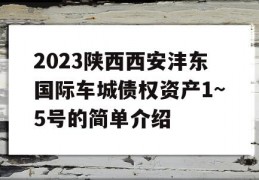 2023陕西西安沣东国际车城债权资产1~5号的简单介绍