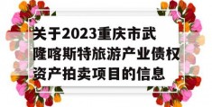 关于2023重庆市武隆喀斯特旅游产业债权资产拍卖项目的信息