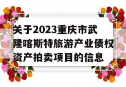 关于2023重庆市武隆喀斯特旅游产业债权资产拍卖项目的信息