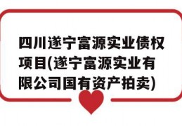 四川遂宁富源实业债权项目(遂宁富源实业有限公司国有资产拍卖)