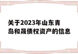 关于2023年山东青岛和晟债权资产的信息