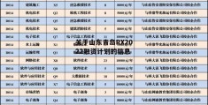 关于山东青岛RX2022融资计划的信息