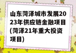 山东菏泽城市发展2023年供应链金融项目(菏泽21年重大投资项目)