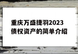 重庆万盛捷羽2023债权资产的简单介绍