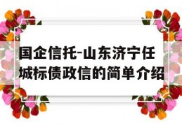 国企信托-山东济宁任城标债政信的简单介绍