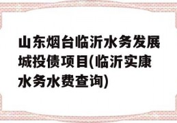 山东烟台临沂水务发展城投债项目(临沂实康水务水费查询)