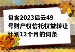 包含2023启云49号财产权信托权益转让计划12个月的词条