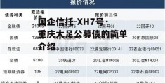 国企信托-XH7号·重庆大足公募债的简单介绍