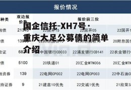 国企信托-XH7号·重庆大足公募债的简单介绍