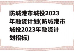 防城港市城投2023年融资计划(防城港市城投2023年融资计划招标)