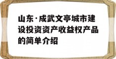 山东·成武文亭城市建设投资资产收益权产品的简单介绍