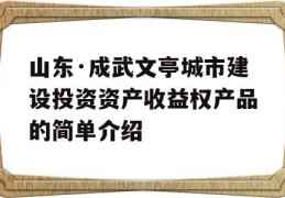 山东·成武文亭城市建设投资资产收益权产品的简单介绍