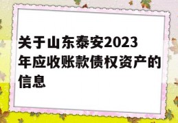 关于山东泰安2023年应收账款债权资产的信息