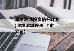 潍坊滨城投资信托计划(潍坊滨城投资 上市公司)