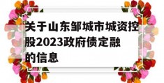 关于山东邹城市城资控股2023政府债定融的信息