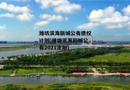 潍坊滨海新城公有债权计划(潍坊滨海新城公有2021定融)