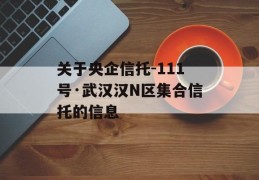 关于央企信托-111号·武汉汉N区集合信托的信息