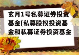 玄月1号私募证券投资基金(私募股权投资基金和私募证券投资基金)