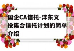 国企CA信托-沣东文投集合信托计划的简单介绍