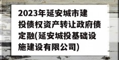 2023年延安城市建投债权资产转让政府债定融(延安城投基础设施建设有限公司)