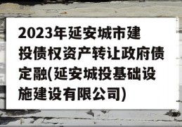 2023年延安城市建投债权资产转让政府债定融(延安城投基础设施建设有限公司)