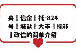 央‮信企‬托-824号‮城盐‬大丰‮标非‬政信的简单介绍