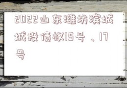 2022山东潍坊滨城城投债权15号、17号