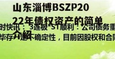 山东淄博BSZP2022年债权资产的简单介绍