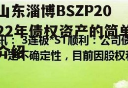 山东淄博BSZP2022年债权资产的简单介绍