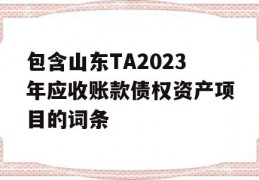 包含山东TA2023年应收账款债权资产项目的词条