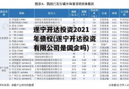 遂宁开达投资2021年债权(遂宁开达投资有限公司是国企吗)