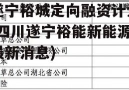 遂宁裕城定向融资计划(四川遂宁裕能新能源最新消息)