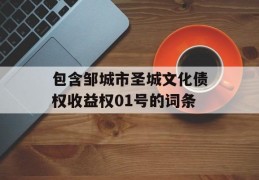 包含邹城市圣城文化债权收益权01号的词条