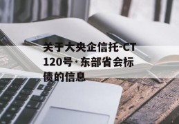 关于大央企信托-CT120号·东部省会标债的信息