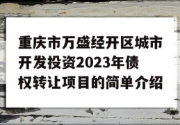 重庆市万盛经开区城市开发投资2023年债权转让项目的简单介绍