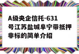 A级央企信托-631号江苏盐城阜宁带抵押非标的简单介绍