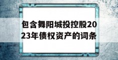 包含舞阳城投控股2023年债权资产的词条