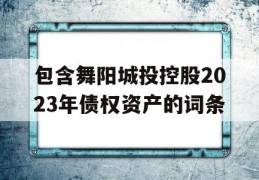 包含舞阳城投控股2023年债权资产的词条