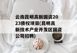 云南昆明高新国资2023债权项目(昆明高新技术产业开发区国资公司招聘)