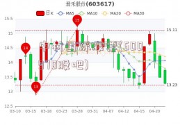 中材国际股票(600970股吧)