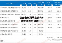 包含山东潍坊水务AA+城投债券的词条