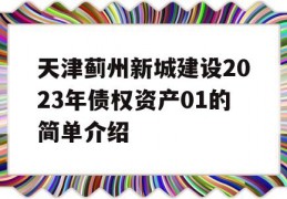 天津蓟州新城建设2023年债权资产01的简单介绍