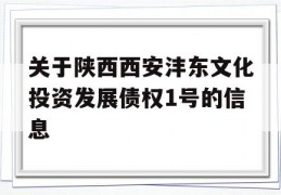 关于陕西西安沣东文化投资发展债权1号的信息