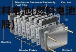 燃料电池(燃料电池龙头股)