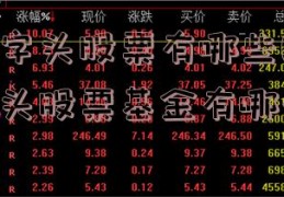 中字头股票有哪些(中字头股票基金有哪些)