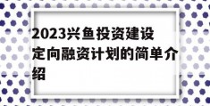 2023兴鱼投资建设定向融资计划的简单介绍