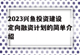 2023兴鱼投资建设定向融资计划的简单介绍